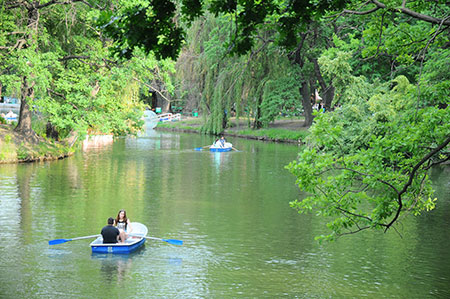 Светлые аллеи 