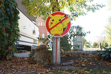 Мозг навынос