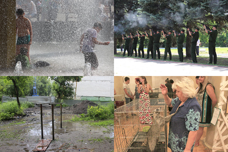 Картина недели с 16 по 23 июня