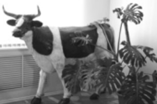 Все по фаршу