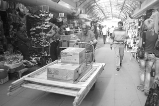 Блошиное братство