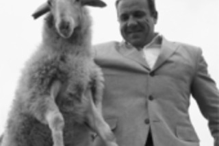 Овца Россошанский