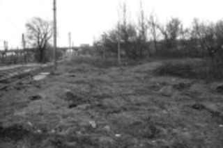 Огородами  с единороссом