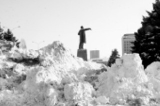 Разбудите  спящую Кикимору