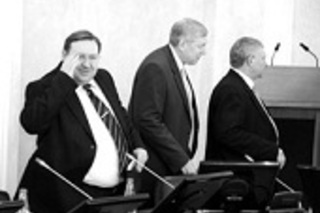 Ректоральные ласки