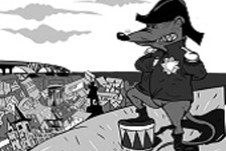 Крысы и пустота