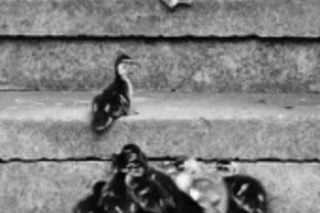 Детское обрезание