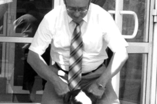 Жучки Коссовича