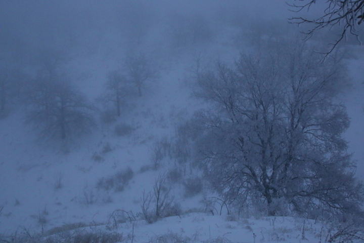 В первый день нового года в Саратовской области ожидаются туман, изморозь, гололедица и легкий мороз