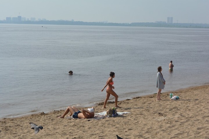 Никаких животных (за одним исключением), плаванья на бревнах и подбрасывания купающихся: в России вступили в силу единые правила пользования пляжами