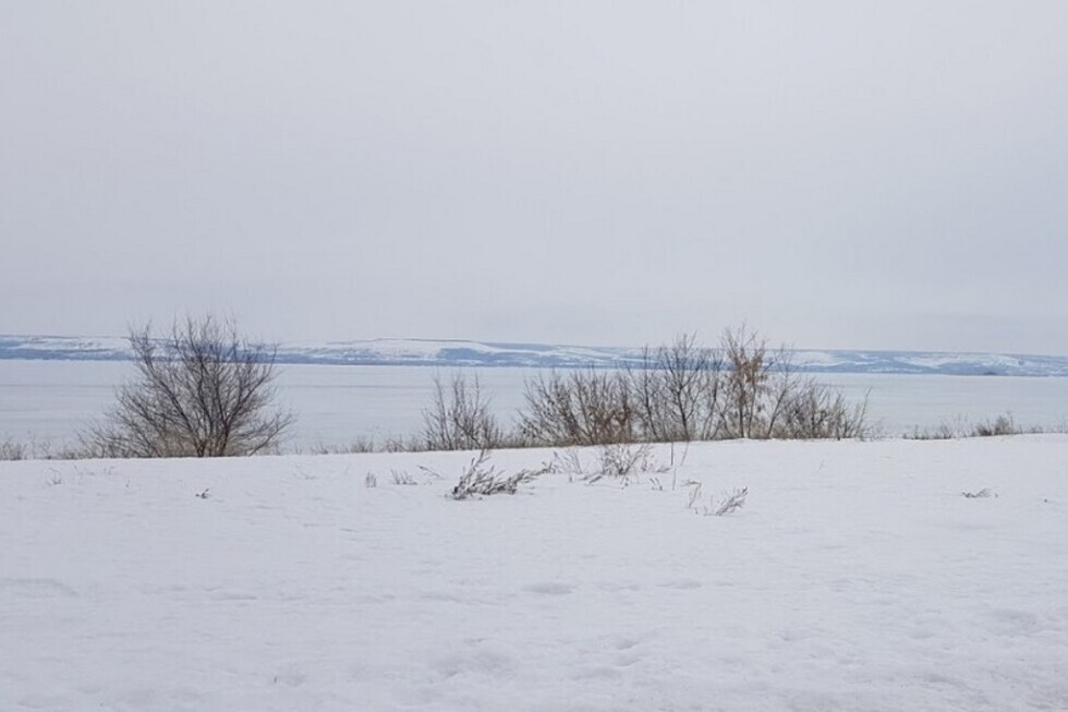Энгельсские чиновники за 31,7 тысячи рублей в год сдают участок земли на берегу Волги под строительство коттеджа