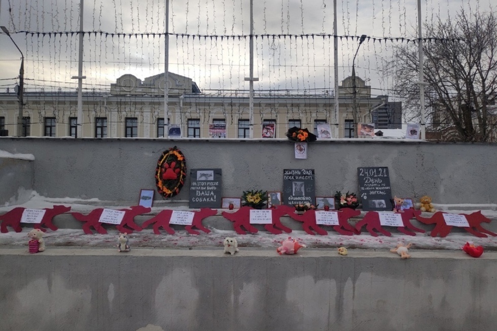 Зоозащитники устроили траурную акцию в память об убитых собаках, использовав трибуну на центральной площади Энгельса