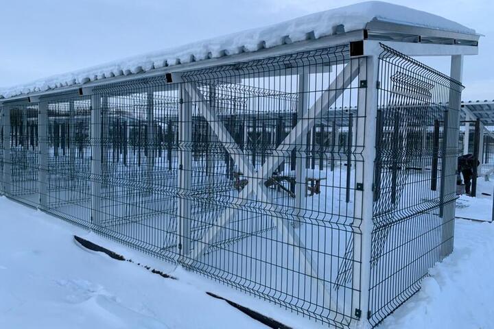 Приют для собак в Саратове. Рабочие начали отделку помещения