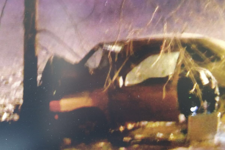 В Энгельсском районе водитель за рулем иномарки съехал в кювет и врезался в дерево: мужчину госпитализировали