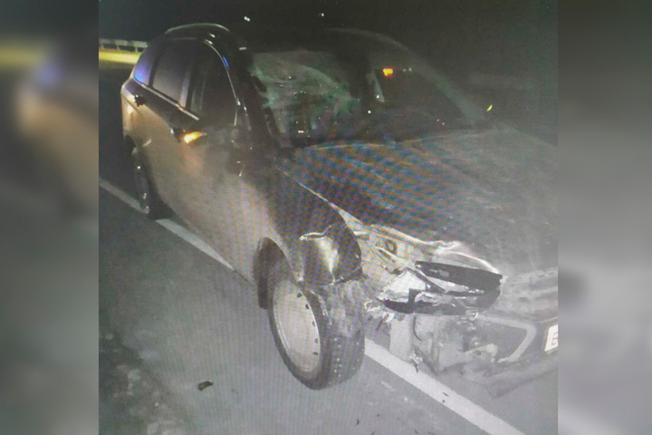 На трассе в Татищевском районе легковушка сбила мужчину: пешеход погиб на месте