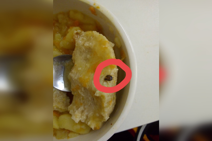 Жительница Балаково опубликовала в соцсети снимок «блюда» с тараканом, которое якобы подают в детской больнице. Медики проверяют подлинность фото