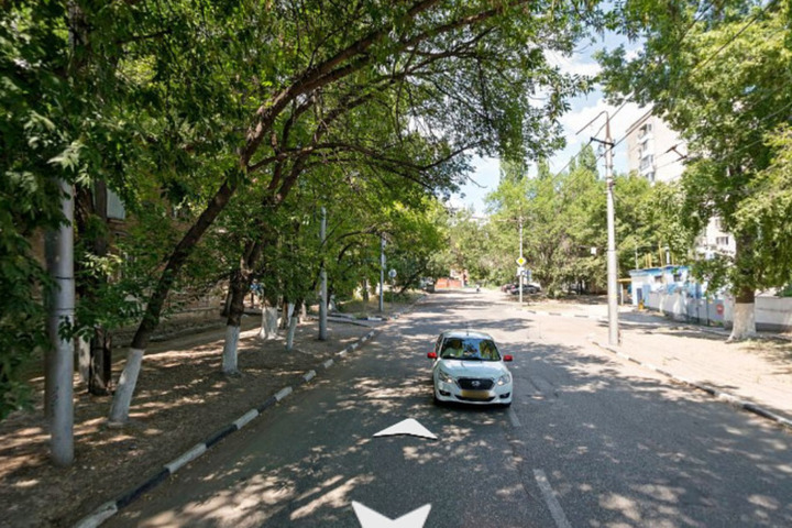 «Предлагали снести 46 кленов — по всей улице»: общественница рассказала, как горожане могут спасти деревья от гибели