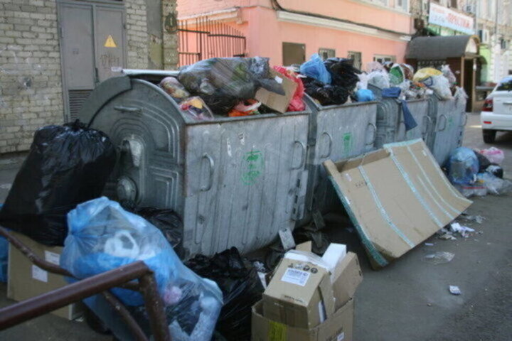 «Гринпис»: жители Саратовской области «нарастили» количество мусора