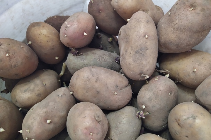 Рост цен на продукты. Вице-губернатор попросил сотрудников министерств проконтролировать «тему удорожания картофеля»