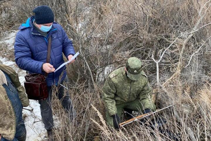 В Александрово-Гайском районе пограничники наткнулись на тайник с оружием, принадлежащий местному жителю