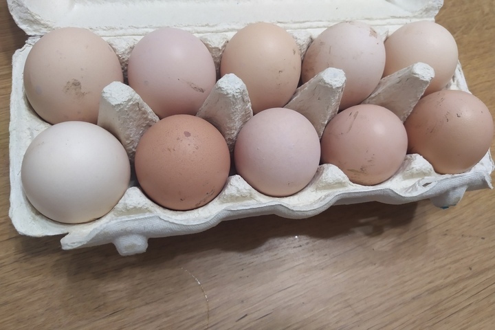 После жалоб саратовцев производители пообещали снизить цены на куриные яйца