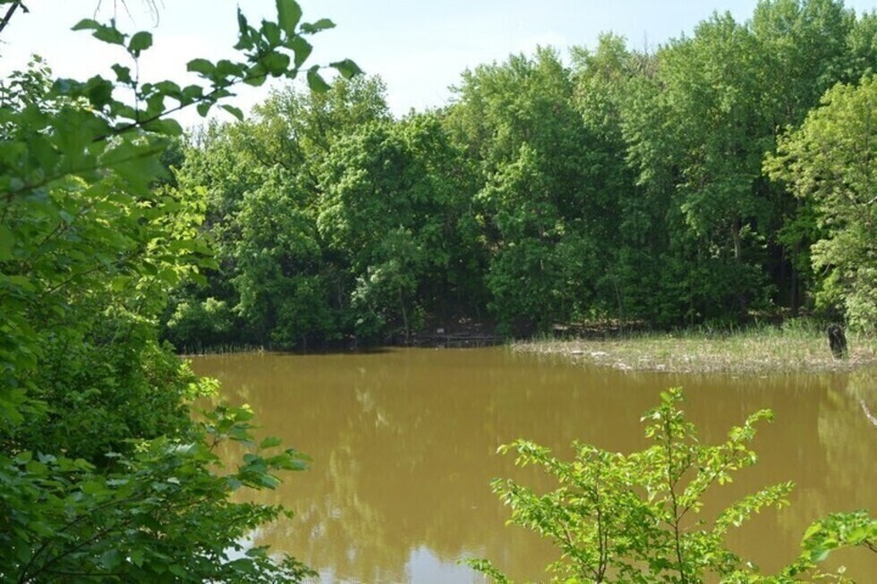 В Росприроднадзоре выяснили, что коммунальщики из Балашова загрязнили реку Хопер и потребовали возместить ущерб в 2,6 миллиона рублей