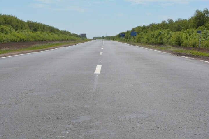 За ремонт участка дороги в регионе отдадут 121 миллион рублей. Во время работ выкорчуют 4,5 тысячи деревьев
