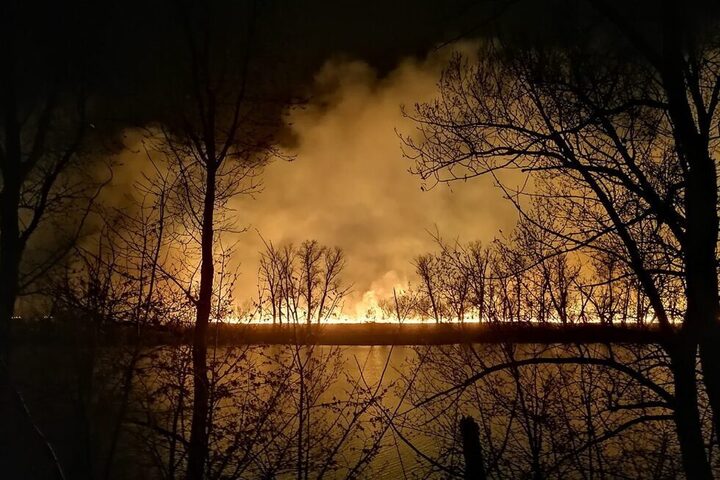 Крупный природный пожар на берегу Большого Иргиза: на место выехал глава Балаковского района Соловьев