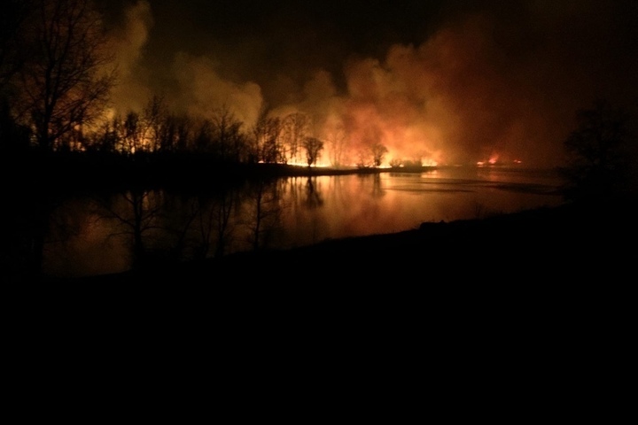За сутки в регионе произошло 130 пожаров. В четырех районах горел лес