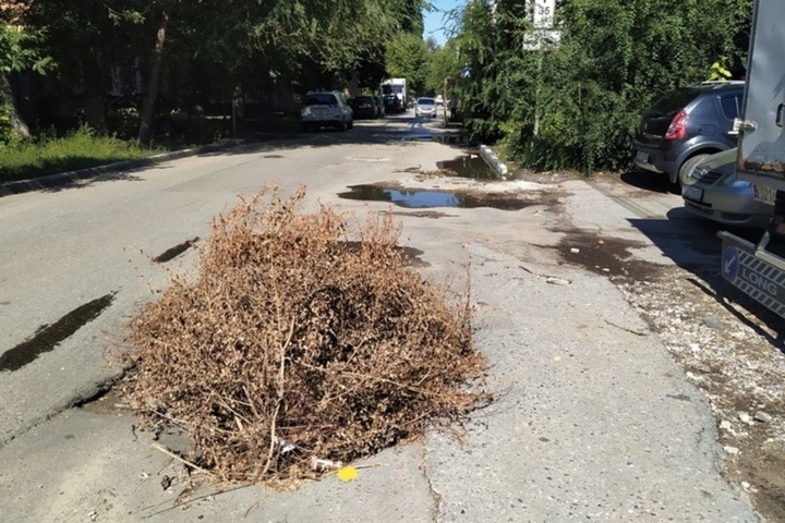 В середине лета тротуары полностью отремонтируют на улице Шевченко и еще шести участках в центре города