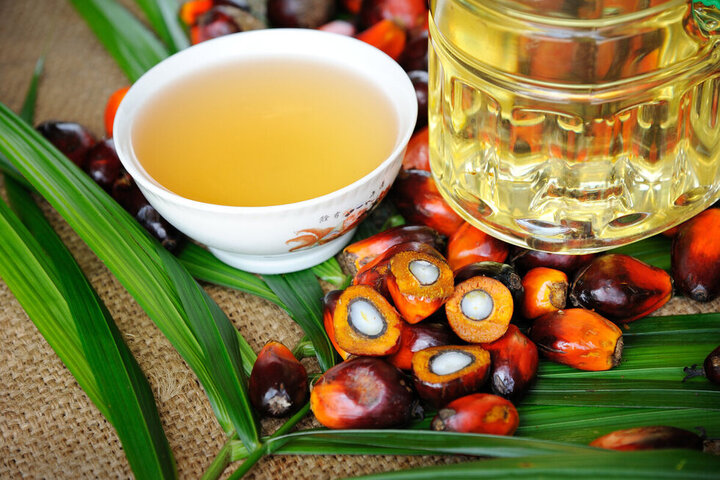 В Саратовскую область ввезли больше пальмового масла, чем в 83 региона страны вместе взятые