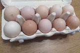 Перед Пасхой статистики отчитались о снижении цен на яйца на 0,2%, овощи продолжают дорожать