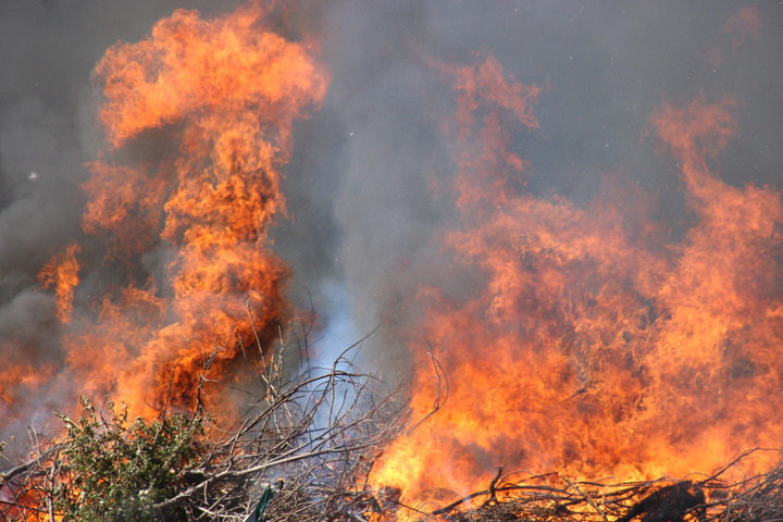 В трех районах области произошли ландшафтные пожары, общая площадь возгорания — 10 гектаров