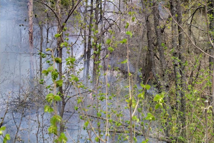 Пожар в национальном парке «Хвалынский» тушат 150 человек