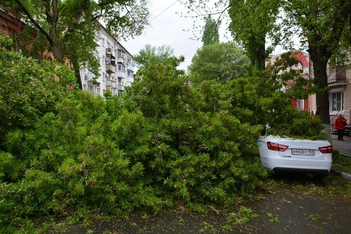 На дорогу в центре города рухнуло дерево: улица перекрыта, очевидцы сообщают о четырех задетых машинах
