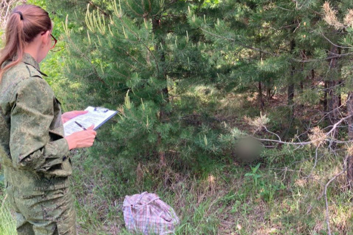 Мужчина пошел за грибами и нашел в лесу человеческий череп: идет проверка