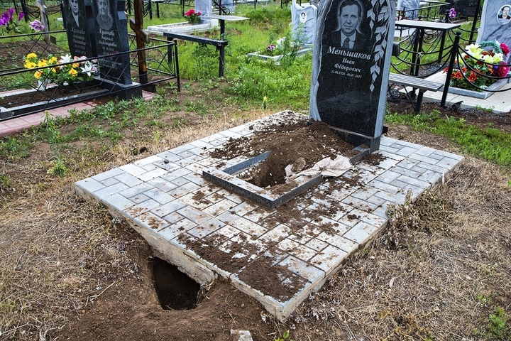 В Балаково истребят сусликов на кладбищах из-за собак, которые раскапывают могилы в погоне за добычей