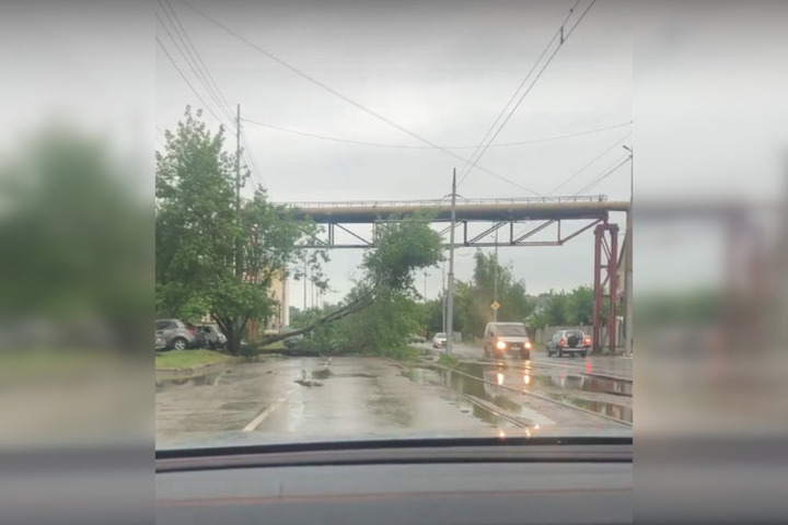 Из-за ливня и штормового ветра в Саратове деревья рухнули на машину и трамвайные пути