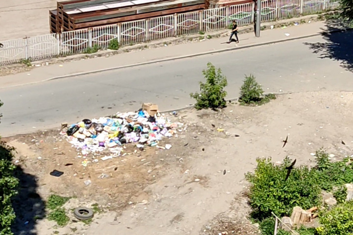 «Куча мусора под окнами, стаи бездомных собак и крысы»: горожане рассказали, что из двора в центре Заводского района пропал мусорный бак, а затем там возникла свалка
