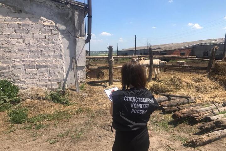 Молодой аграрий из Базарно-Карабулакского района на новой работе напал на коллегу, изнасиловал ее и душил веревкой