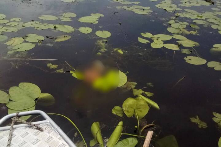 В энгельсском озере обнаружили перевернутую лодку и тело пенсионера