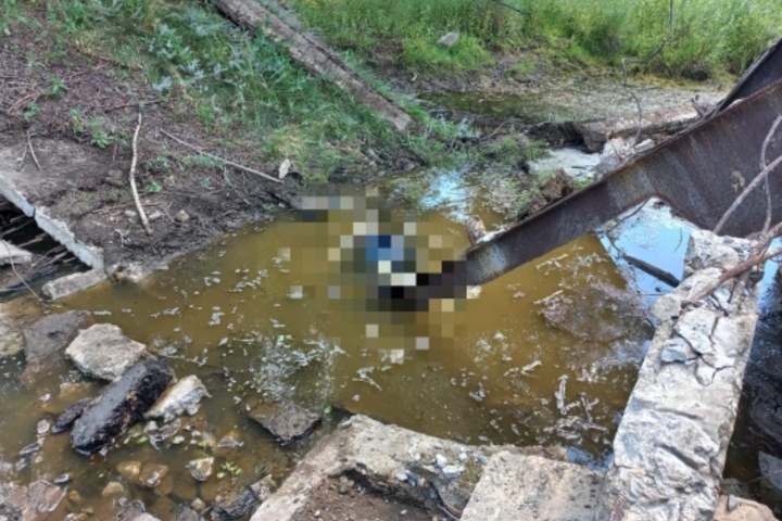 В Татищевском районе пастух нашел в водоеме тело мужчины, утонувшего почти сутки назад