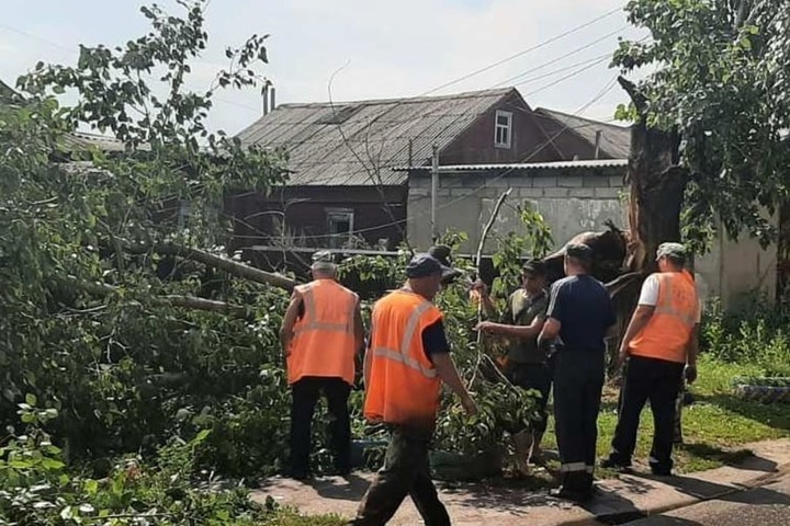 Прошедший ураган в Ртищево повалил деревья и сорвал крыши сельской администрации и ФОКа (фото)