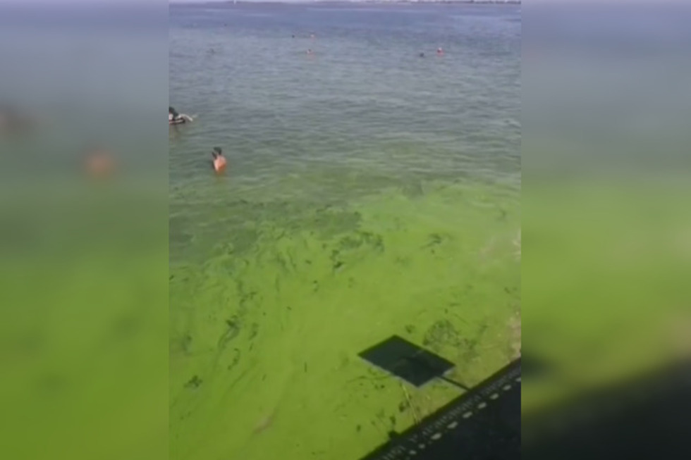 После жалоб горожан чиновники объяснили, почему вода на новом пляже позеленела