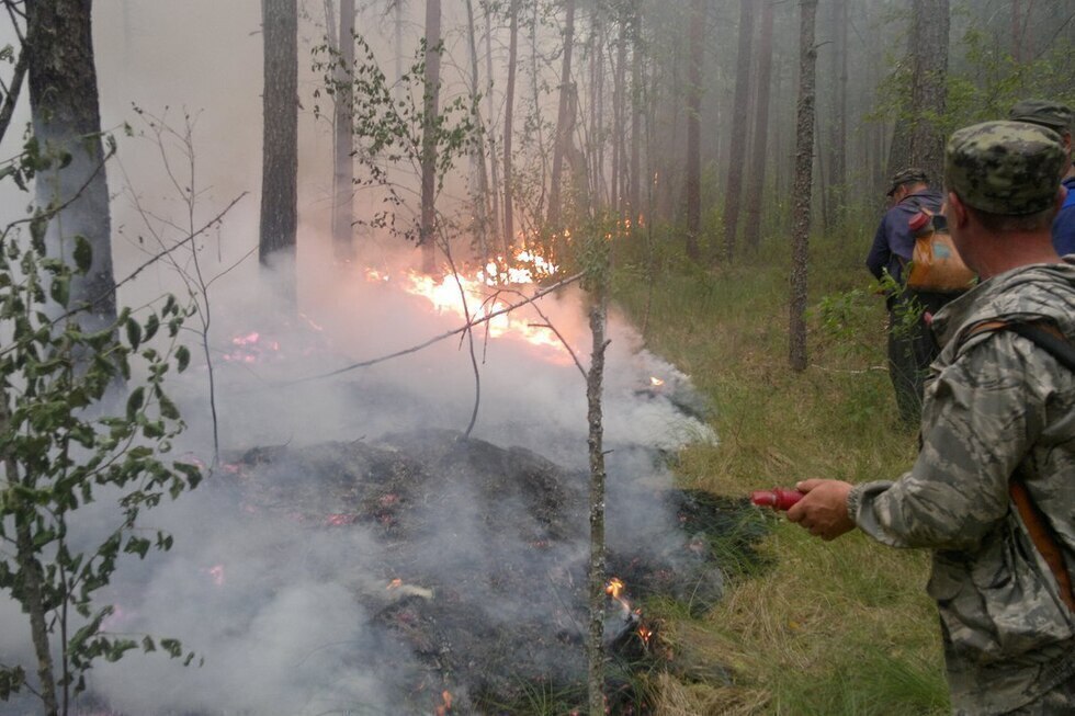 В Вольском районе лесной пожар распространился на площади 7 га. В минприроды считают, что возгорание произошло из-за человеческого фактора