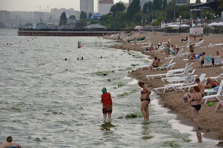 «Это кишечная палочка и это никак не связано с цветением Волги»: общественница взяла пробы на новом саратовском пляже и выявила превышение бактерий от нормы в 48 раз