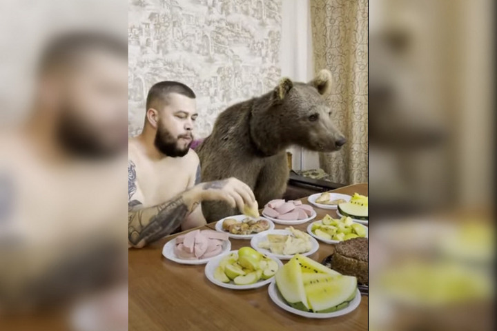 В Саратове сняли вирусное видео, как россиянин ест перед телевизором с медведем