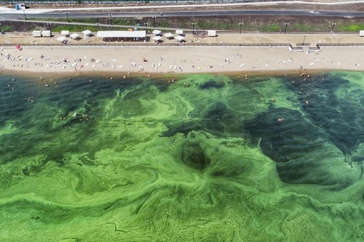 Новый саратовский пляж уже две недели работает как солярий после вскрывшегося факта бактериального загрязнения воды