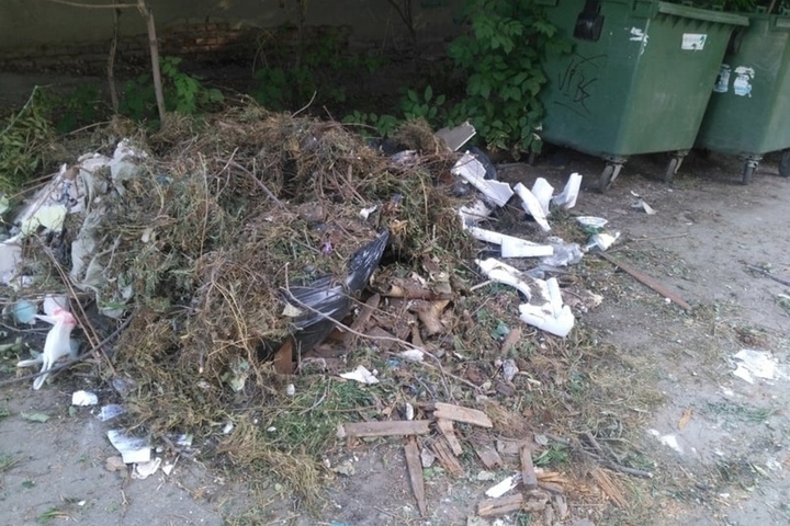 Благоустройство по-саратовски: в Волжском районе начали облагораживать путь к школе и перекопали землю вперемешку с мусором