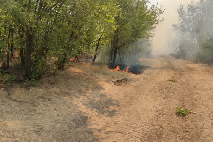 «У многих сдают нервы»: в правительстве обсудили ситуацию с пожаром в Ершовском районе